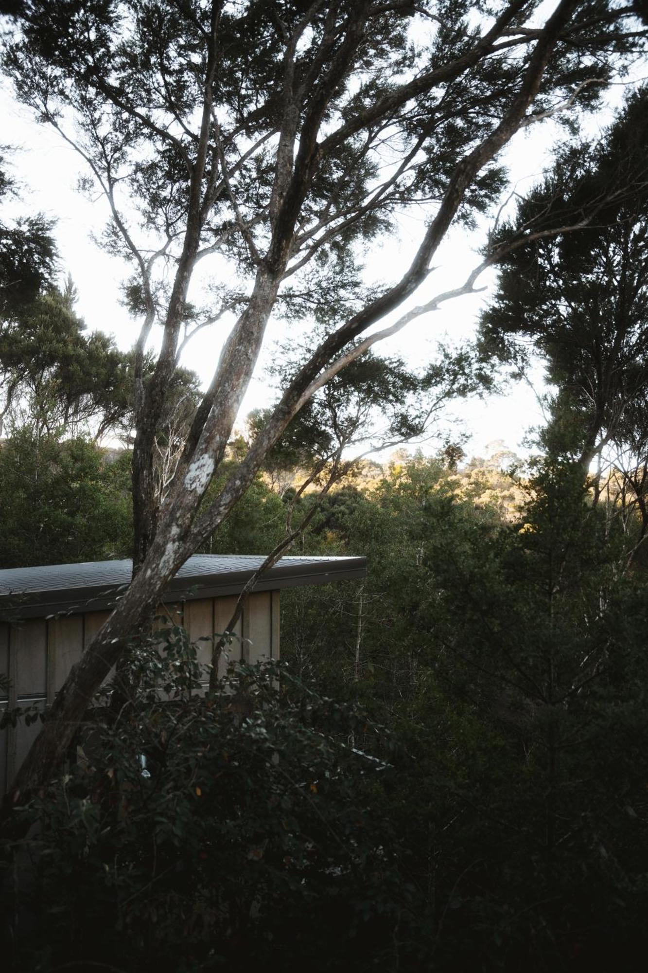 Treehouse Hideaway At Rekindle Tree Houses Opua 외부 사진